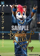※秋葉原店併用商品 フレップ・ザ・フォックス(北海道日本ハムファイターズ)(TP+) 【TBP01-TIME-F14TP+】